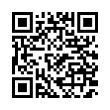 QR Code (код быстрого отклика)