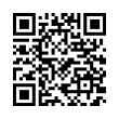 QR Code (код быстрого отклика)