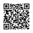 QR Code (код быстрого отклика)