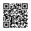 QR Code (код быстрого отклика)