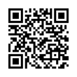 QR Code (код быстрого отклика)