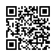 QR Code (код быстрого отклика)