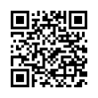 QR Code (код быстрого отклика)