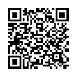 QR Code (код быстрого отклика)