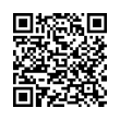 QR Code (код быстрого отклика)