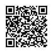 QR Code (код быстрого отклика)