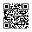 QR Code (код быстрого отклика)