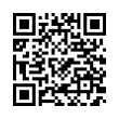 QR Code (код быстрого отклика)