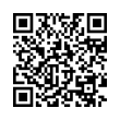 QR Code (код быстрого отклика)