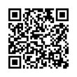 QR Code (код быстрого отклика)