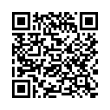 QR Code (код быстрого отклика)