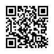 QR Code (код быстрого отклика)