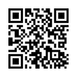 QR Code (код быстрого отклика)