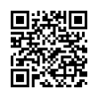 QR Code (код быстрого отклика)