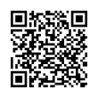 QR Code (код быстрого отклика)