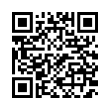 QR Code (код быстрого отклика)