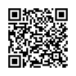 QR Code (код быстрого отклика)