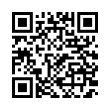 QR Code (код быстрого отклика)