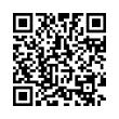 QR Code (код быстрого отклика)