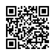 QR Code (код быстрого отклика)