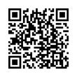 QR Code (код быстрого отклика)