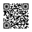 QR Code (код быстрого отклика)