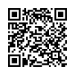 QR Code (код быстрого отклика)