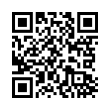 QR Code (код быстрого отклика)