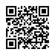 QR Code (код быстрого отклика)