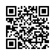 QR Code (код быстрого отклика)