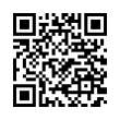 QR Code (код быстрого отклика)