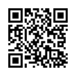 QR Code (код быстрого отклика)