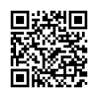 QR Code (код быстрого отклика)