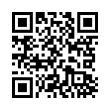 QR Code (код быстрого отклика)