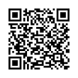 QR Code (код быстрого отклика)