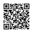 QR Code (код быстрого отклика)