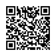 QR Code (код быстрого отклика)