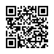 QR Code (код быстрого отклика)