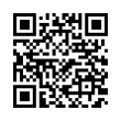 QR Code (код быстрого отклика)