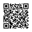 QR Code (код быстрого отклика)