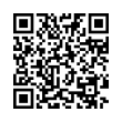 QR Code (код быстрого отклика)