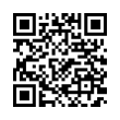 QR Code (код быстрого отклика)