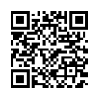 QR Code (код быстрого отклика)