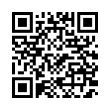 QR Code (код быстрого отклика)