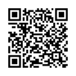 QR Code (код быстрого отклика)
