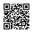 QR Code (код быстрого отклика)