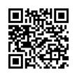 QR Code (код быстрого отклика)